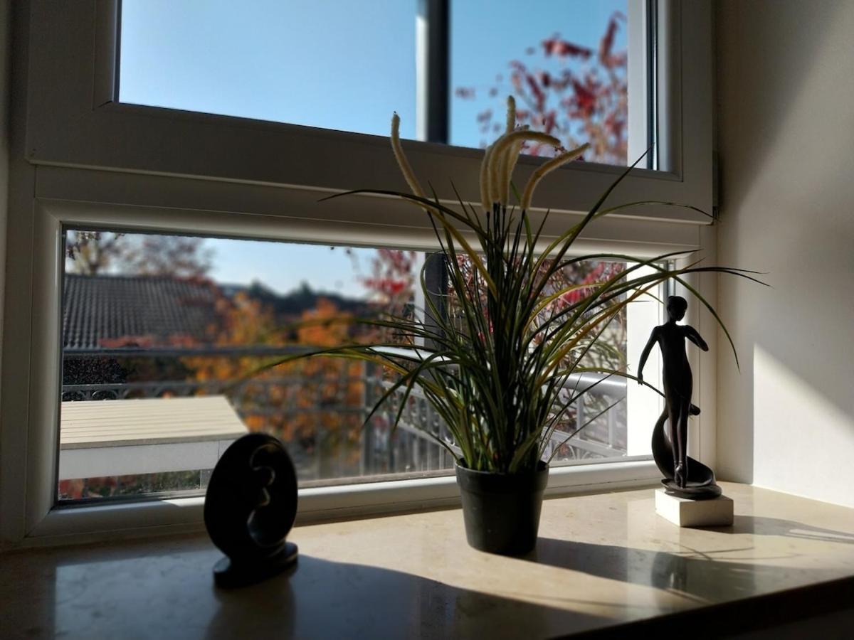Bad Aibling City Apartment - Alpenblick Eksteriør billede